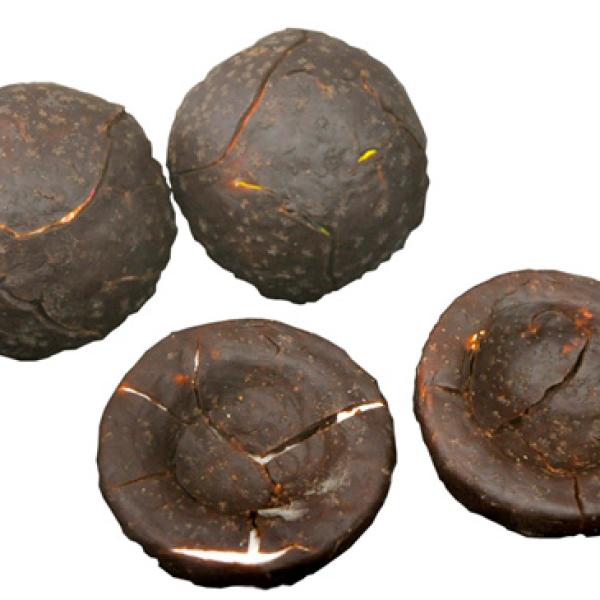 Pelouros