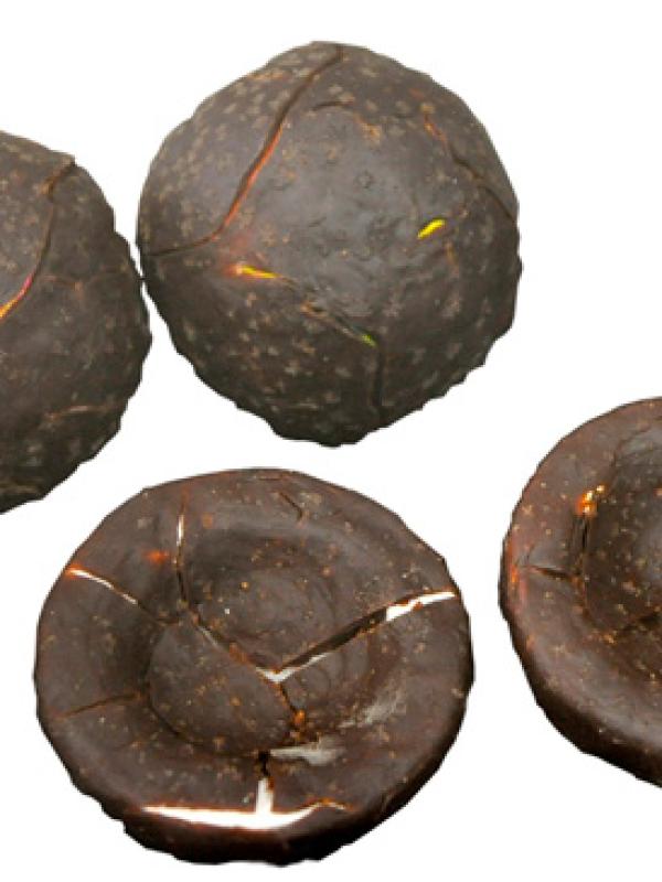 Pelouros